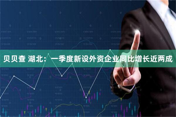 贝贝查 湖北：一季度新设外资企业同比增长近两成