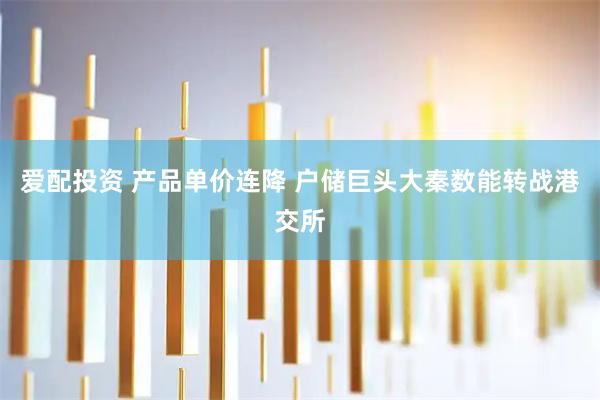 爱配投资 产品单价连降 户储巨头大秦数能转战港交所